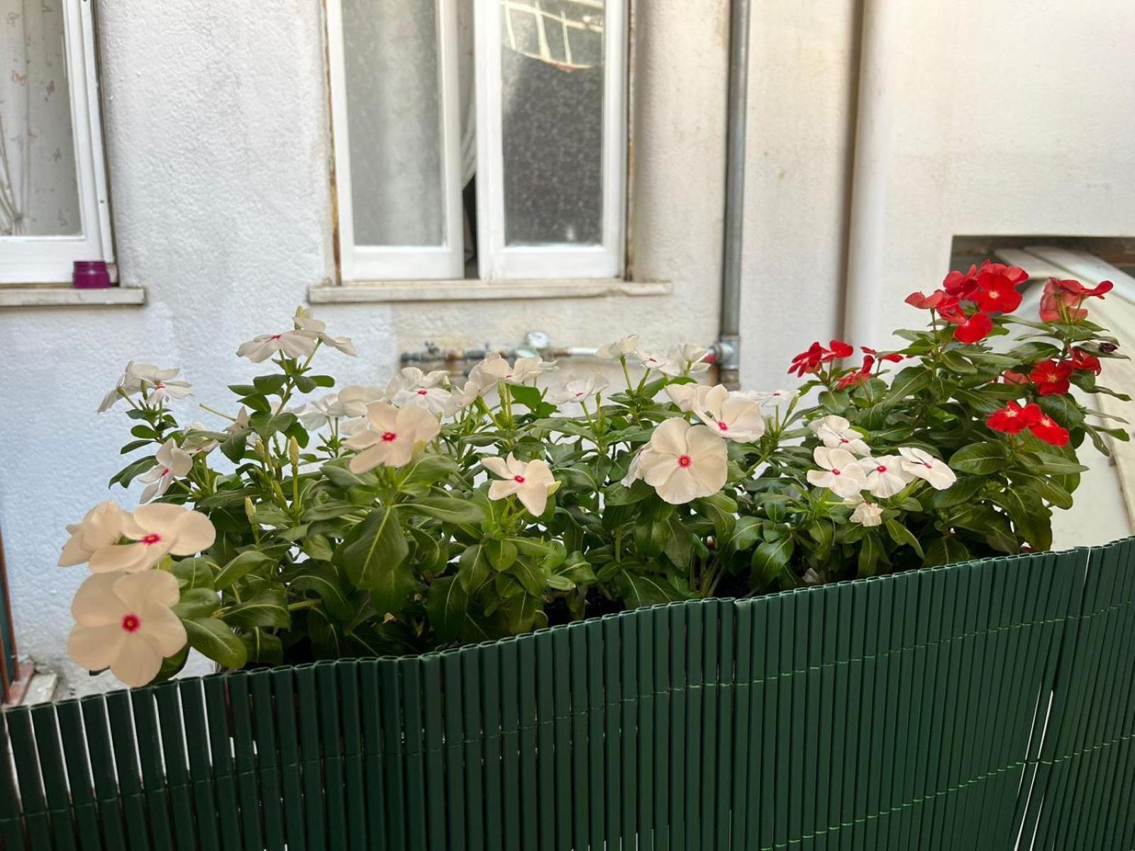 Casa Dei Nonni Di Yuri Palermo Exterior foto